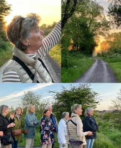 CHANT DU ROSSIGNOL DANS LE ZWIN